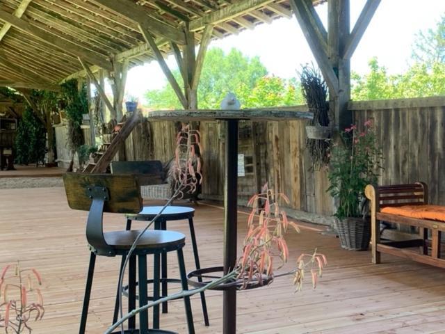 Villa Les Ailes du Temps à Caupenne-d'Armagnac Extérieur photo